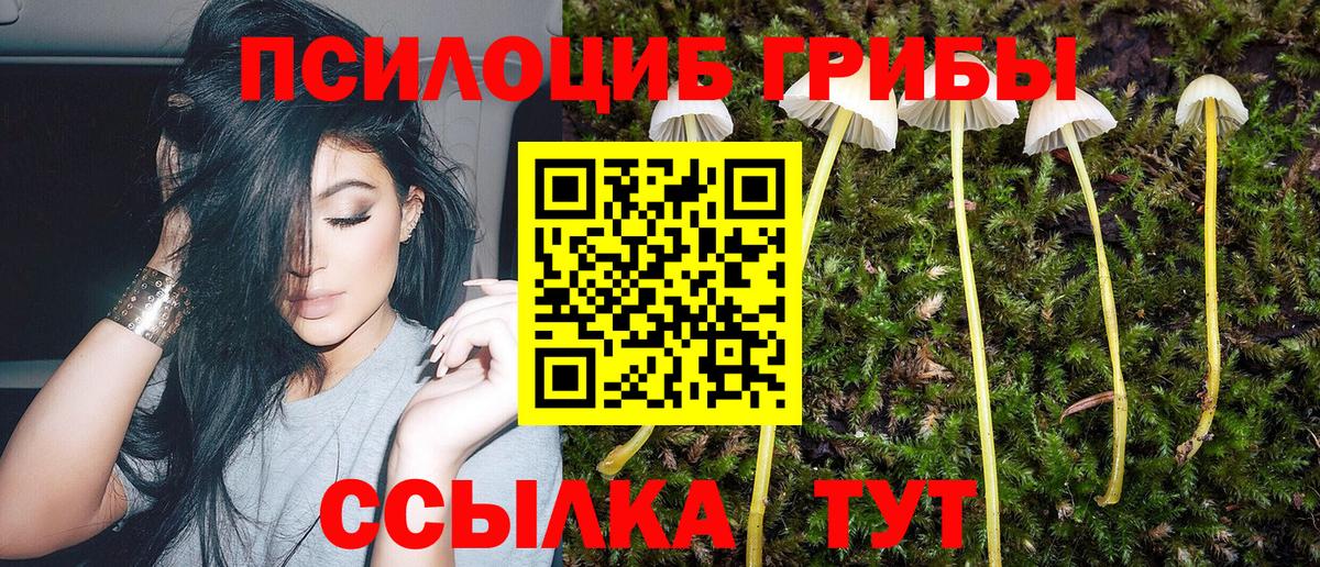 Берёзовский  Галлюциногенные грибы прущие грибы  Вход с VPN 